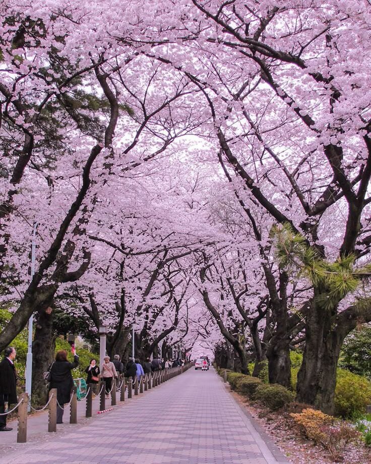 destination